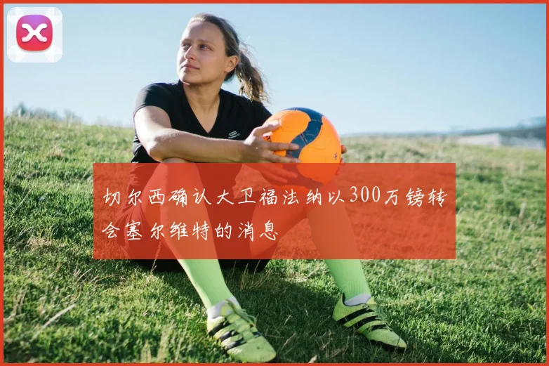 切尔西确认大卫福法纳以300万镑转会塞尔维特的消息