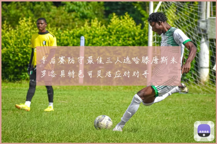 季后赛防守最佳三人选哈滕唐斯米罗各具特色可灵活应对对手